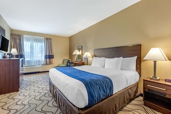 Standard Room, 1 King Bed, Non Smoking, Pool View