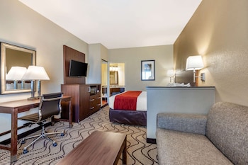 Suite, 1 King Bed with Sofa Bed, Non Smoking