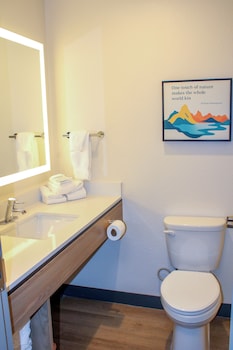 Room, 1 King Bed, Accessible, Non Smoking (Pet-Friendly)