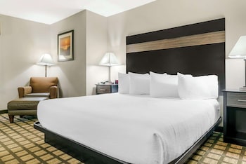 Standard Room, 1 King Bed, Accessible, Courtyard Area