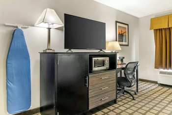 Standard Room, 1 King Bed, Accessible, Courtyard Area