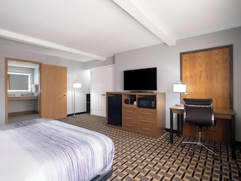 Room, 1 Queen Bed, Accessible, Non Smoking (Mobility/Hearing, Roll-in Shower)