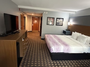 Room, 1 King Bed, Accessible, Non Smoking (Mobility/Hearing, Tub w/ Grab Bars)