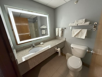 Superior Room, 1 King Bed, Non Smoking