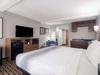 Business Room, 1 King Bed, Non Smoking