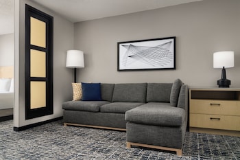 Room, 1 King Bed, Accessible, Bathtub