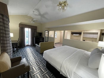 Suite, 1 King Bed, Non Smoking (Efficiency)