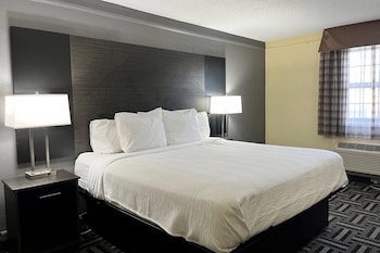 Room, 1 King Bed, Non Smoking (Mobility Accessible, Tub w/ Grab Bars)