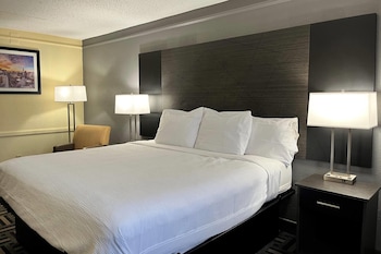 Room, 1 King Bed, Non Smoking (Mobility Accessible, Tub w/ Grab Bars)