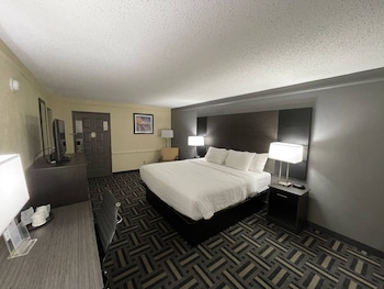 Room, 1 King Bed, Non Smoking (Mobility Accessible, Tub w/ Grab Bars)