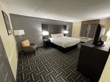 Room, 1 King Bed, Non Smoking (Mobility Accessible, Tub w/ Grab Bars)