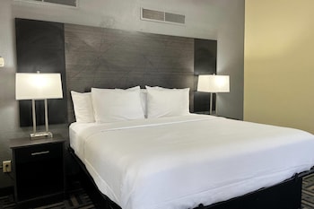 Suite, 1 King Bed, Non Smoking (Efficiency)