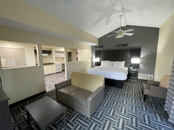 Suite, 1 King Bed, Non Smoking (Efficiency)