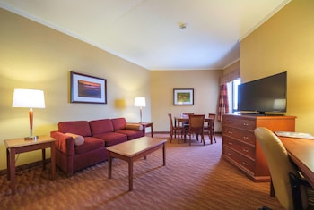 Suite, 1 King Bed, Non Smoking, Kitchenette (with Sofabed)