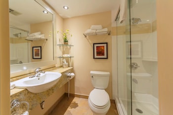 Executive Room, 1 King Bed, Non Smoking, Refrigerator (Walk-in Shower)