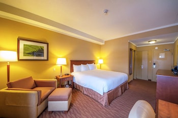 Standard Room, 1 King Bed, Non Smoking, Refrigerator (Walk-in Shower)