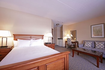 Suite, 1 Queen Bed, Non Smoking, Jetted Tub (Walk-in Shower)