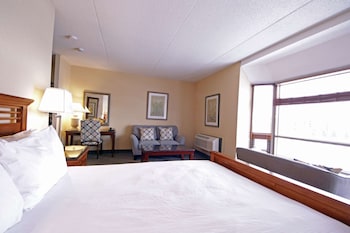 Suite, 1 Queen Bed, Non Smoking, Jetted Tub (Walk-in Shower)