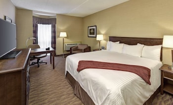 Executive Room, 1 King Bed, Non Smoking, Refrigerator (Walk-in Shower)