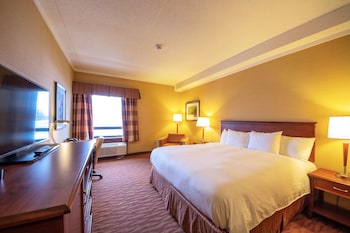 Standard Room, 1 King Bed, Non Smoking, Refrigerator (Walk-in Shower)