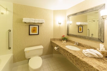 Standard Room, 1 Queen Bed, Non Smoking, Jetted Tub