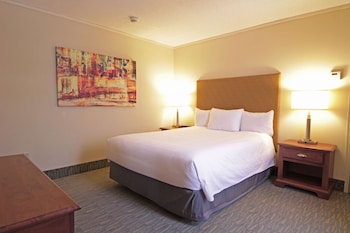 Suite, Multiple Beds, Non Smoking, Kitchenette