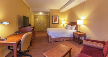 Standard Room, 1 Queen Bed, Non Smoking, Refrigerator & Microwave (Walk-in Shower)