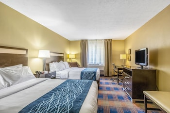 Standard Room, 2 Double Beds, Non Smoking