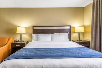 Room, 1 King Bed, Accessible, Non Smoking (Roll-In Shower)