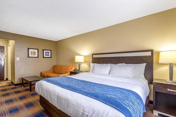 Standard Room, 1 King Bed with Sofa bed, Non Smoking