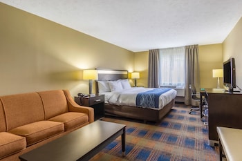 Standard Room, 1 King Bed with Sofa bed, Non Smoking