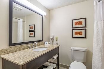 Room, 1 King Bed, Accessible, Non Smoking (Roll-In Shower)