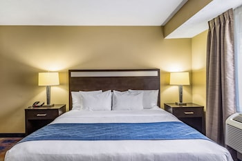 Standard Room, 1 King Bed with Sofa bed, Non Smoking
