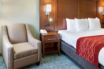 Room, 1 King Bed, Accessible, Non Smoking