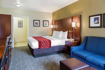 Suite, 1 King Bed, Courtyard View, Courtyard Area