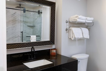 Premium Room, 1 King Bed