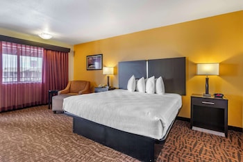 Standard Room, 1 King Bed, Accessible, Non Smoking