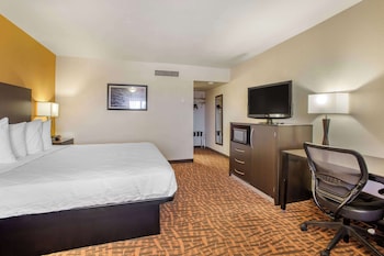 Standard Room, 1 King Bed, Accessible, Non Smoking