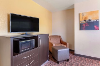 Suite, 1 King Bed, Non Smoking