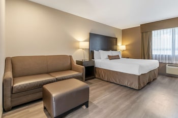 Suite, 1 King Bed, Non Smoking, Refrigerator & Microwave (with Sofabed)