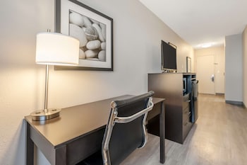 Standard Room, 1 Queen Bed, Non Smoking, Refrigerator & Microwave