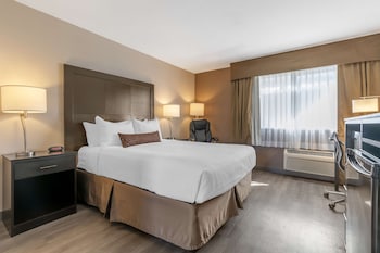 Standard Room, 1 Queen Bed, Non Smoking, Refrigerator & Microwave