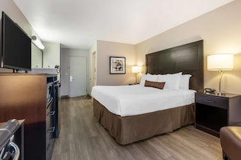 Standard Room, 1 King Bed, Non Smoking, Refrigerator & Microwave