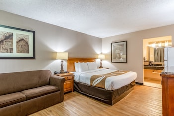 Standard Room, 1 King Bed, Non Smoking