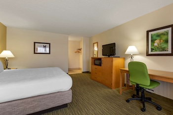 Standard Room, 1 King Bed, Non Smoking, Microwave