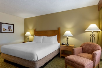 Standard Room, 1 King Bed, Non Smoking, Microwave