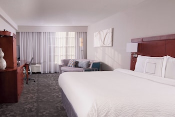 Room, 1 King Bed with Sofa bed, Hearing Accessible