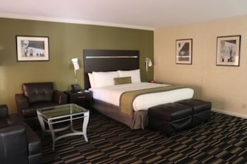 Executive Studio Suite