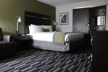 Single Room, Accessible