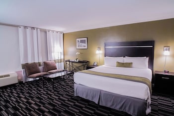 Executive Studio Suite